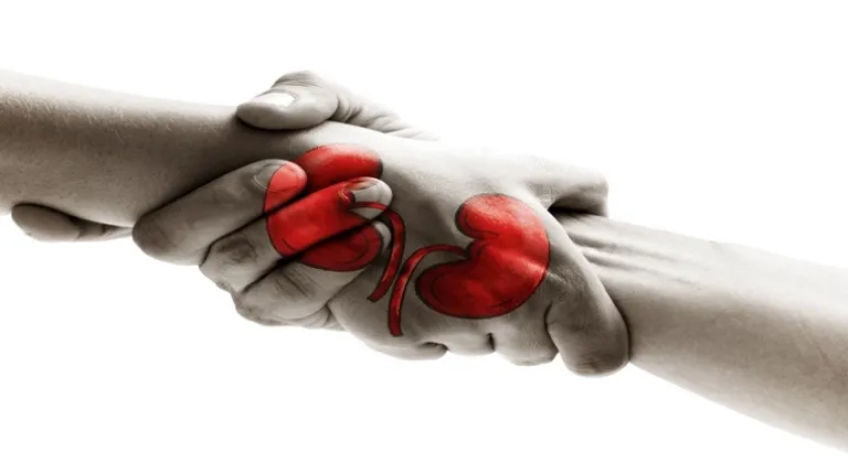 Organ bağışında yeni dönem!