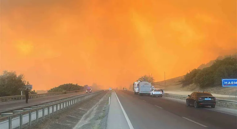 Alevler çiftlikleri tehdit etti, hayvanlar kurtarıldı