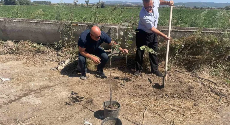 Bursa'da ormanlar yeniden yeşilleniyor! Kaybedilen her ağaç yerine 10 fidan