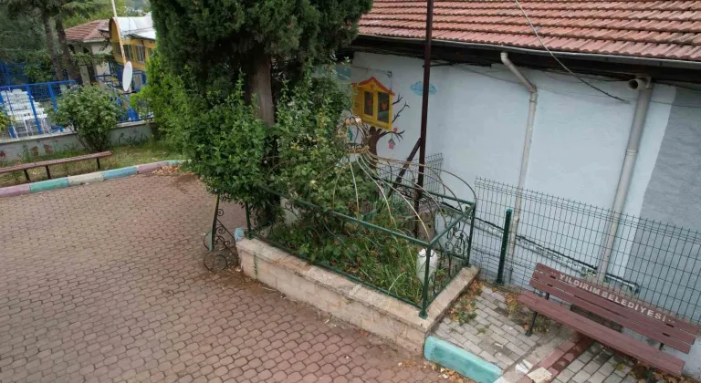 Osmanlı’nın önemli aliminin kabri, yalnızlığa terk edildi
