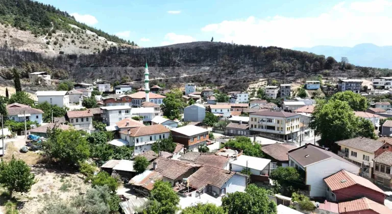 Zümrüt yeşili orman manzaraları kömürlüğe döndü