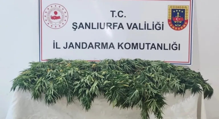 Şanlıurfa’da uyuşturucu operasyonu: 2 gözaltı