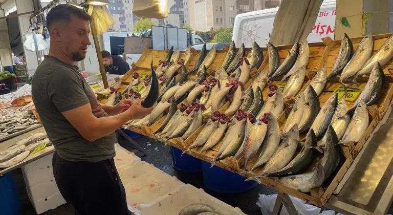 Su Ürünleri Derneği: En güvenilir protein kaynağı sularda