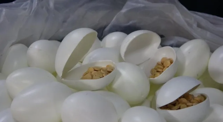 Sürpriz yumurtan uyuşturucu çıktı: 6 kişi tutuklandı!