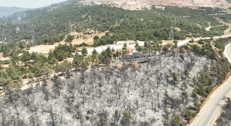 Tarihinin en büyük yangınından geriye bu manzaralar kaldı