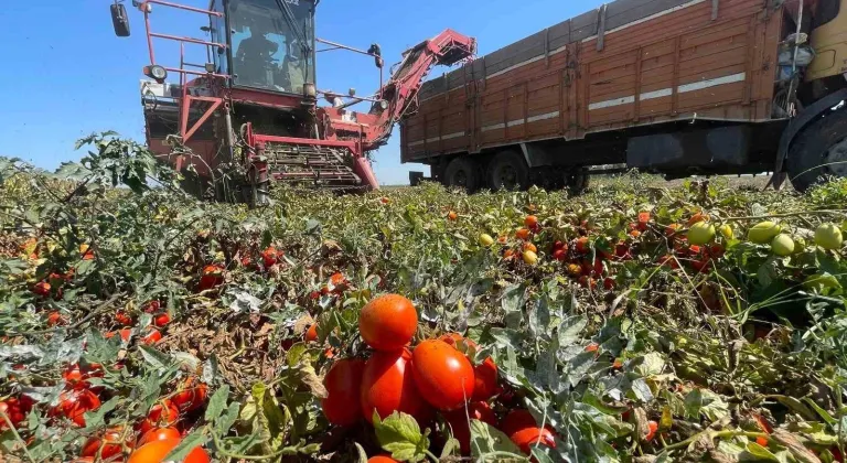 Planlama eksiliği Bursalı üreticiyi zora soktu!