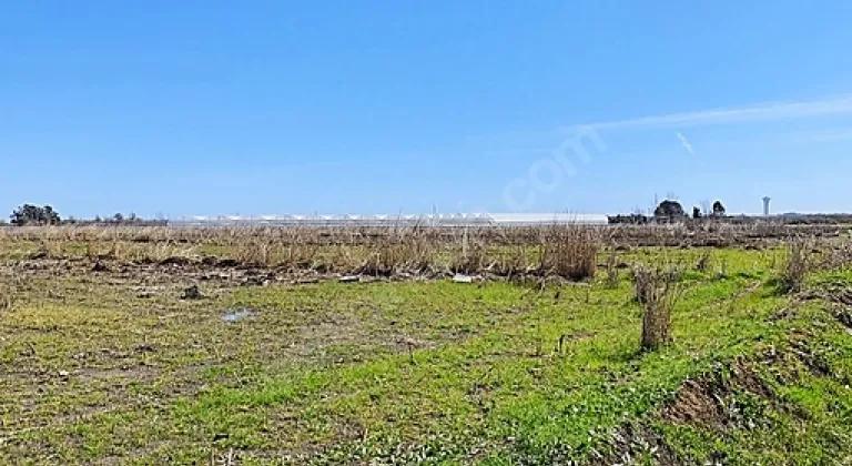 Tarlaya Ev Yapılır Mı? "Hayır" Diyen Kanunlar, "Evet" Diyen İstisnalar: İşte Yasal Süreçler!