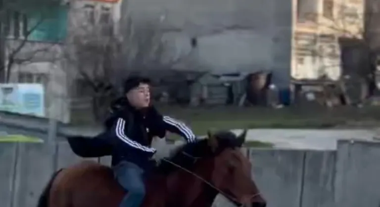 Trafikte dört nala koştu