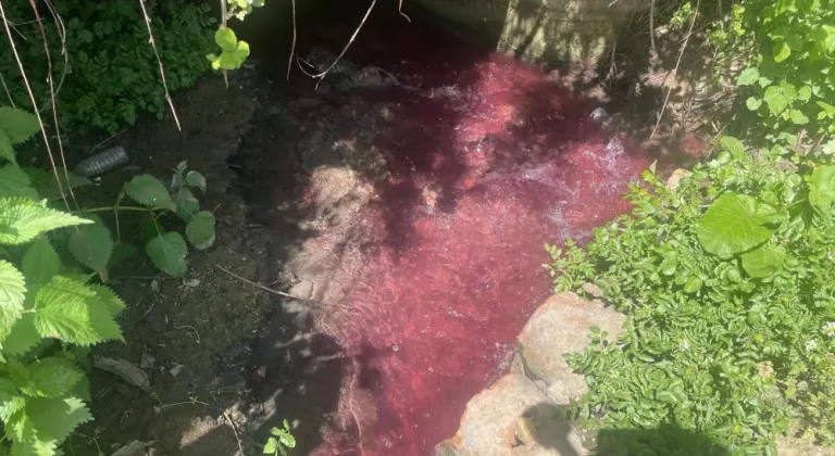 Turşu sulu renkli dereye çiftçiler de uzmanlar da tepkili