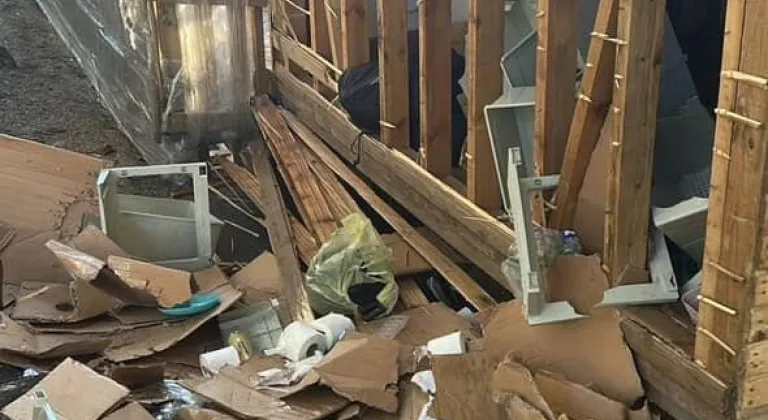 Uludağ’da ayılar barakalara girdi, ortalık darmadağın oldu