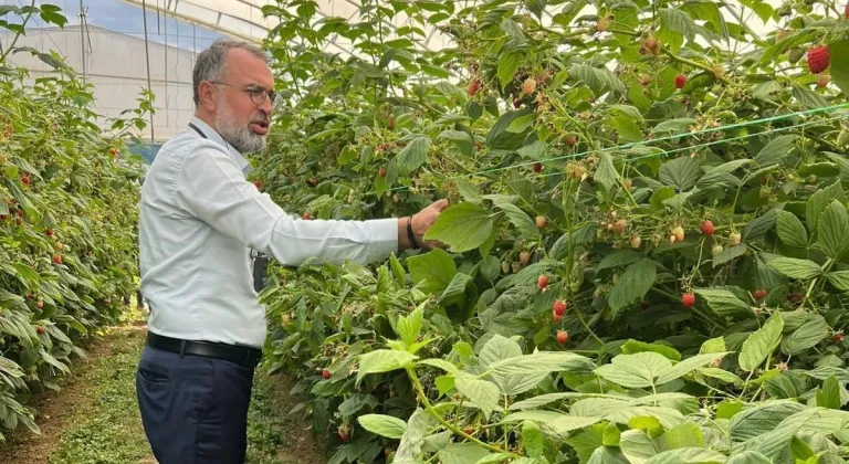 Uludağ'dan Avrupa'ya büyük adım