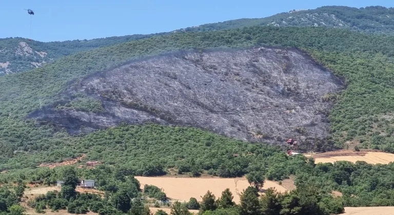 Bursa'daki orman yangını söndürüldü