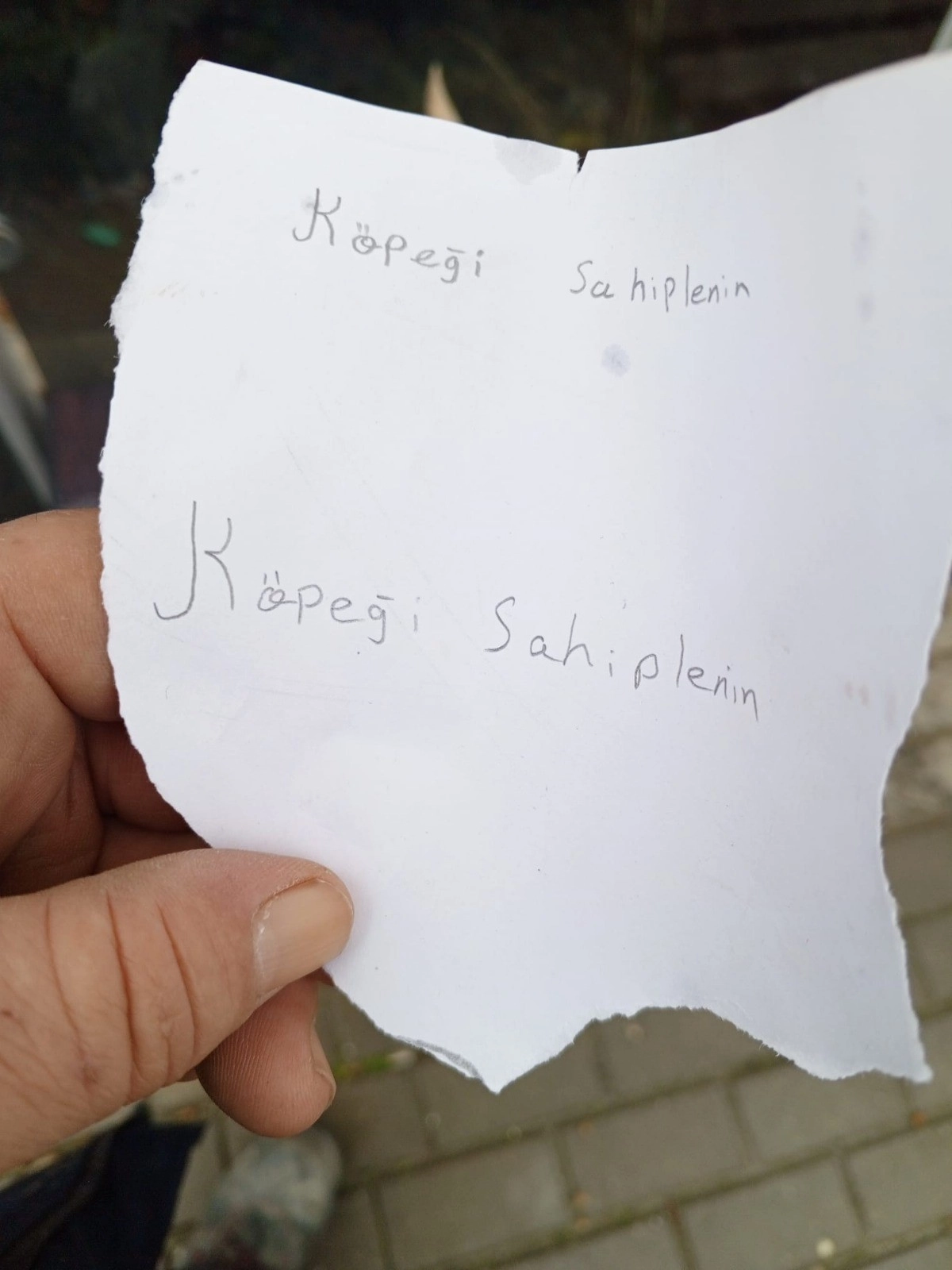 Haber Resmi