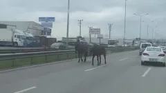 Bursa trafiğinde ters şeritten gelene bakın