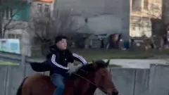 Trafikte dört nala koştu