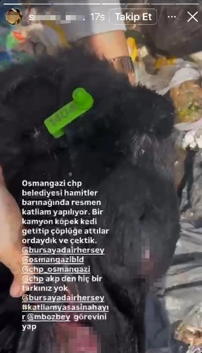 Haber Resmi