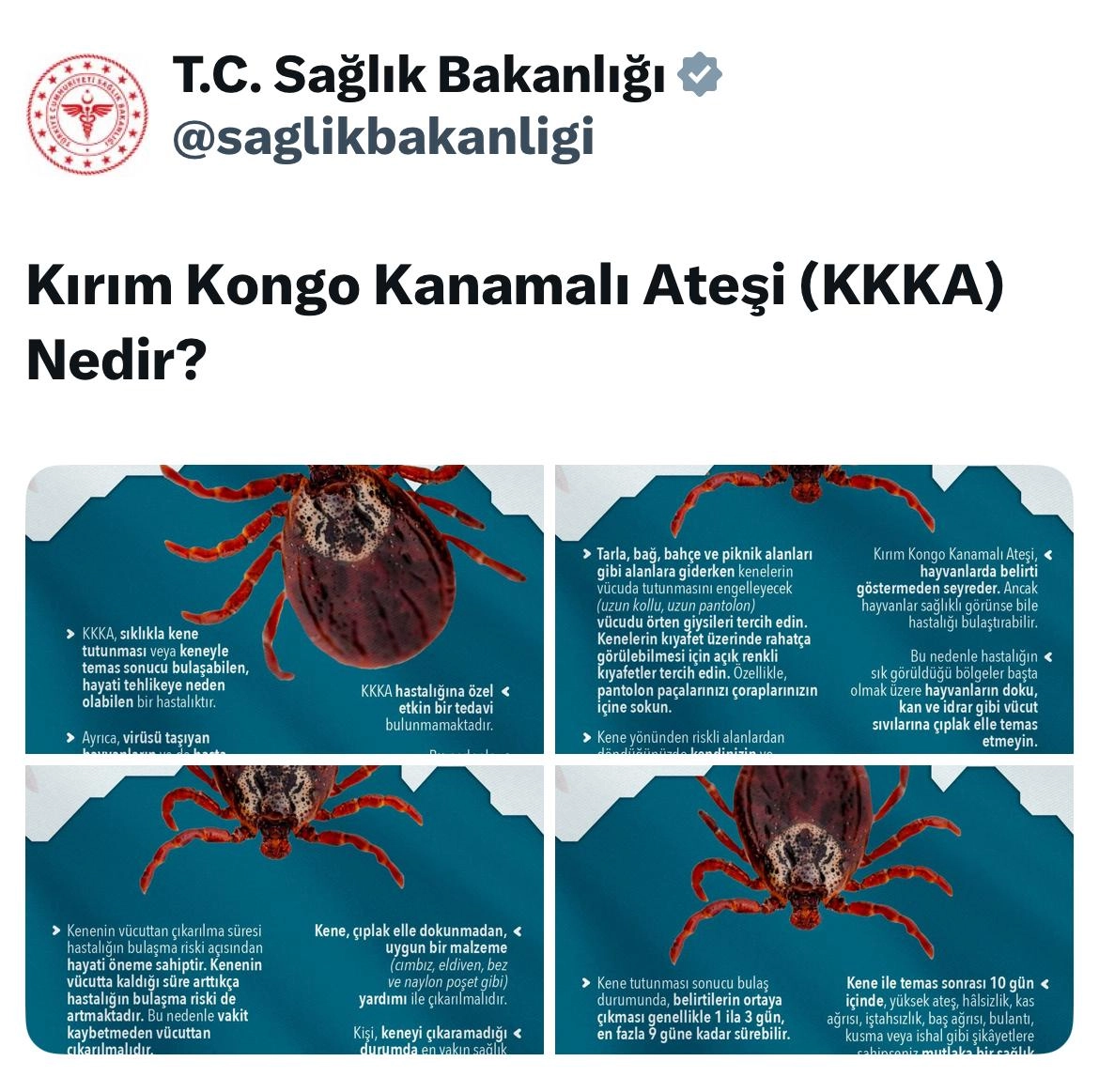 Haber Resmi