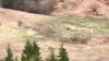 Soğuk hava onları da etkiledi! Bursa otoyolunda şaşırtan görüntüler