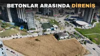 Haber Resmi