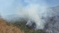 Video Resmi