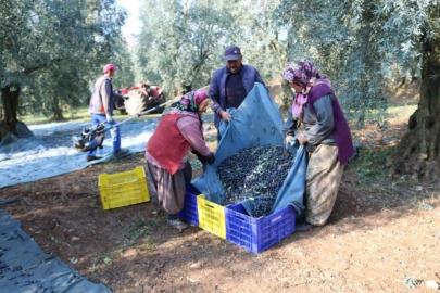 Hem siyahta hem yeşilde ilk sırada Irak geliyor