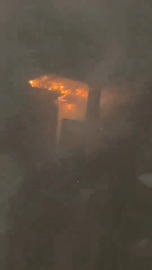 Bursa'da yangın! Yüzlerce hayvan telef oldu