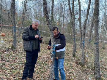 Bursa'nın ormanlarına damgalı denetim