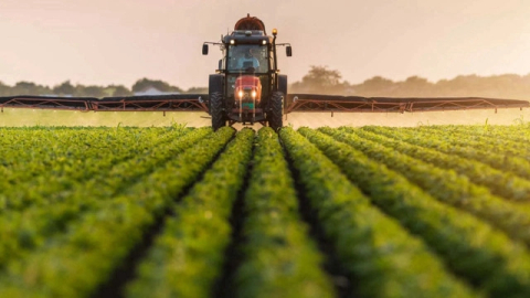Hayvancılık yapacak gençlere ve kadınlara 2 yıl ödemesiz kredi
