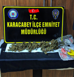 Kuş kümesinde bakın ne çıktı?