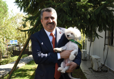 Sahiplenilen hayvanların 1 yıllık muayenesi belediyeden karşılanacak