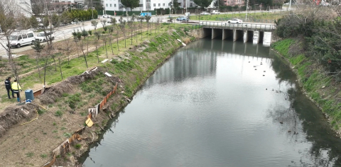 Tatlı su kaynakları tehdit altında
