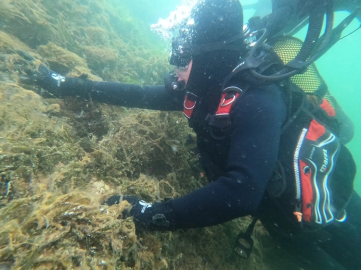 Bursa'da dalgıçlar müsilajın denizdeki durumunu görüntüledi