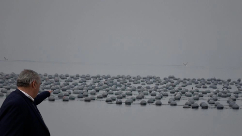 Bursa Kurşunlu'da midye çiftliği isyanı büyüyor