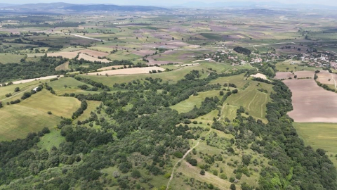 Araziye yatırım yapacaklar dikkat!