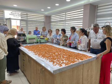 İlçe tarımı için dev proje