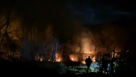 Bursa’da ormanlık alanda korkutan yangın