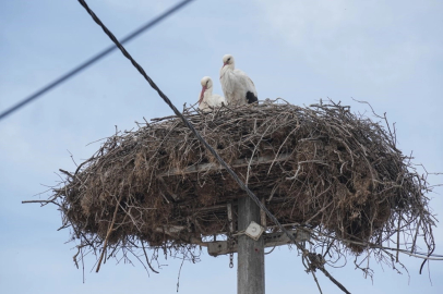 Başkan Bozbey: "Leylek Köyü’nü Bursamıza kazandıracağız"