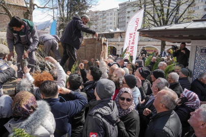 Fidan almak için birbirleriyle yarıştılar