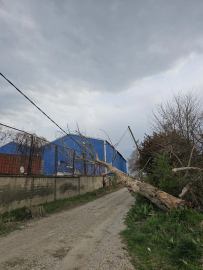 Bursa'da şiddetli lodos ve yağış hayatı olumsuz etkiliyor