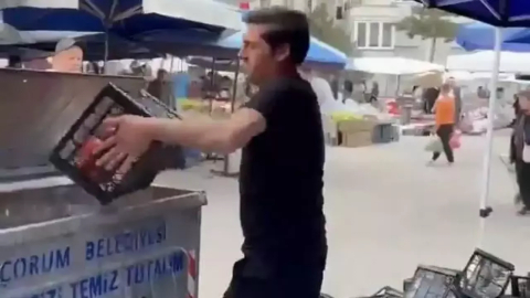 Domatesleri çöpe döken pazarcıya rekor para cezası!