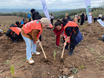 "81 İlde 81 Orman" Projesi Bursa'da