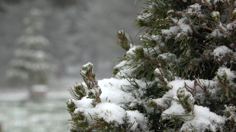 Uludağ'da yer kalmadı! Nisanda kar sürprizi