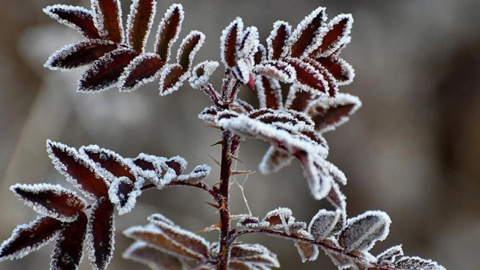 Bursa Valiliği uyardı!