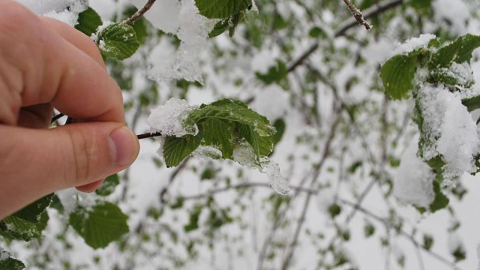 Bursalı çiftçiler dikkat! Valilikten kritik uyarı geldi!
