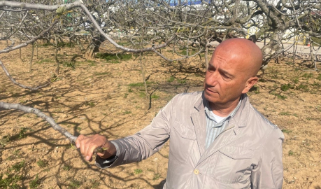 İhracatçılar "zirai don" hakkında karamsar mı? Zirai don ekonomiyi nasıl etkiliyor? İşte cevabı...