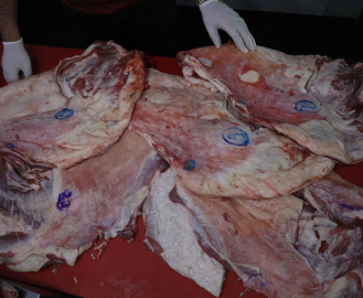 Mühürsüz satılan ve kesilen etleri sakın almayın!