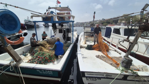 Müsilaj balık etine zarar veriyor mu?