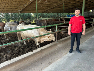 Kurbanlık fiyatlarında son durum ne?