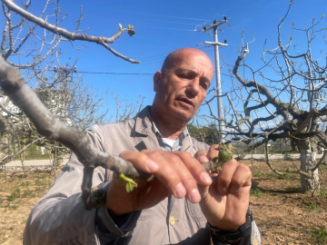 Zirai don Bursa siyahını etkiledi mi?