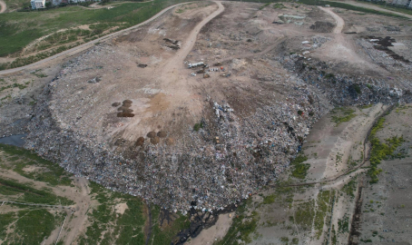 Osmangazi Belediyesi'nden hayvan katliamı açıklaması
